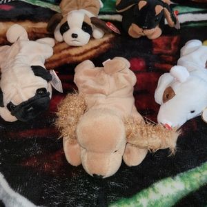 Beanie Baby Doggie Set Mint Condition